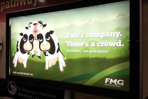 FMG Airport Signage